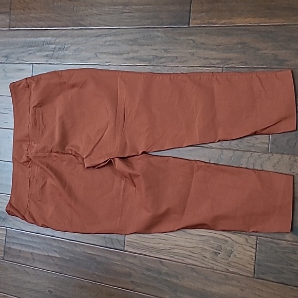 New Directions Dark Terracotta / Rust Colored Pullon Pants size 22W - Picture 2 of 7
